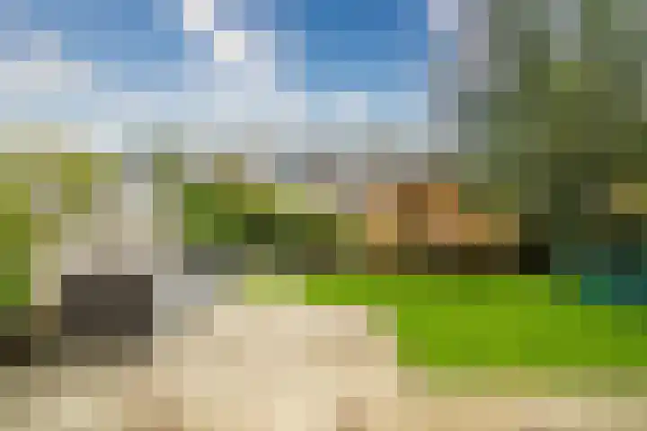 Duizendbladhof 1 Zoeterwoude thumbnail 67