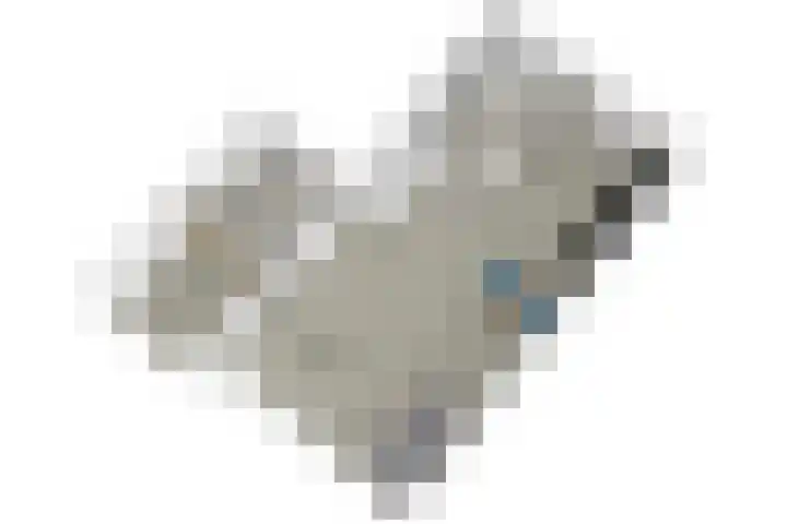 Duizendbladhof 1 Zoeterwoude thumbnail 70