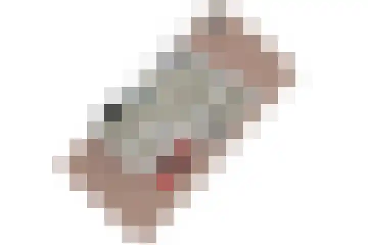Duizendbladhof 1 Zoeterwoude thumbnail 74