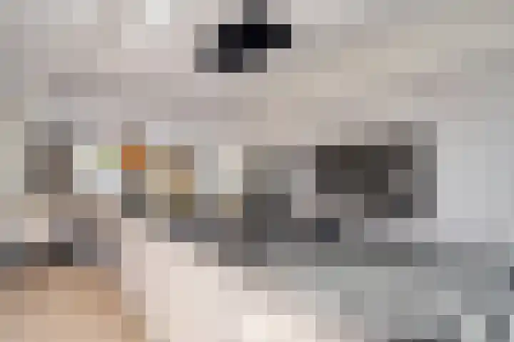 Duizendbladhof 9 Zoeterwoude thumbnail 10