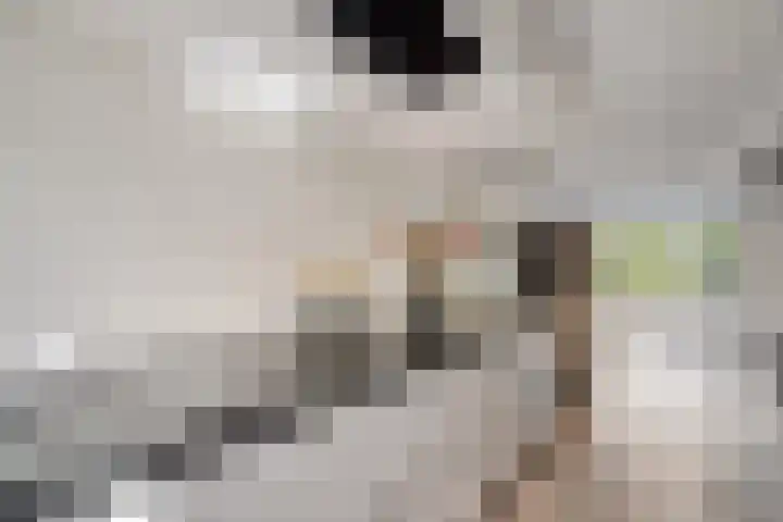 Duizendbladhof 9 Zoeterwoude thumbnail 11