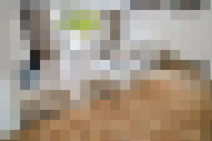 Duizendbladhof 9 Zoeterwoude thumbnail 12