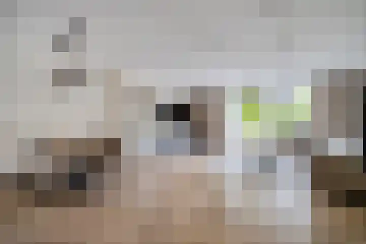 Duizendbladhof 9 Zoeterwoude thumbnail 13