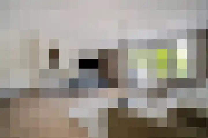Duizendbladhof 9 Zoeterwoude thumbnail 14