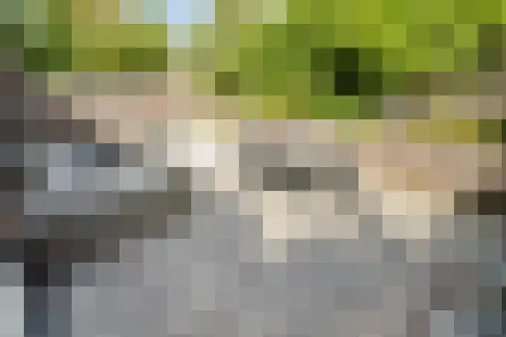 Duizendbladhof 9 Zoeterwoude thumbnail 15