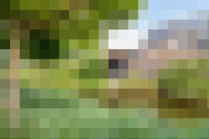 Duizendbladhof 9 Zoeterwoude thumbnail 16