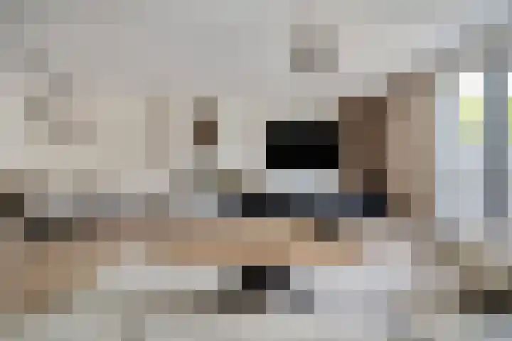 Duizendbladhof 9 Zoeterwoude thumbnail 21