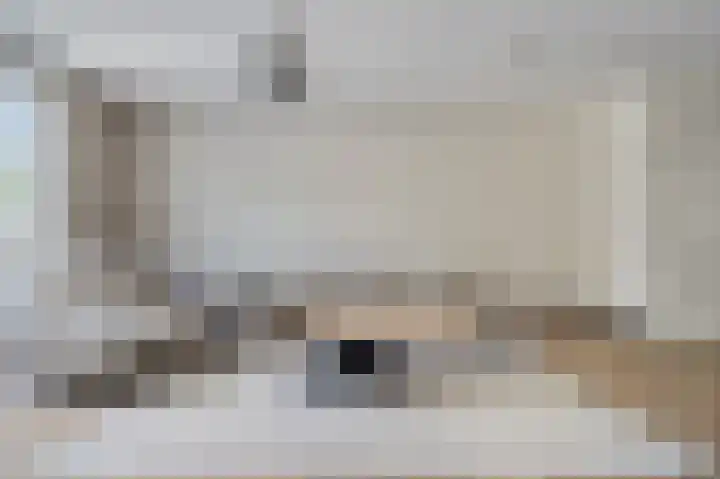 Duizendbladhof 9 Zoeterwoude thumbnail 22