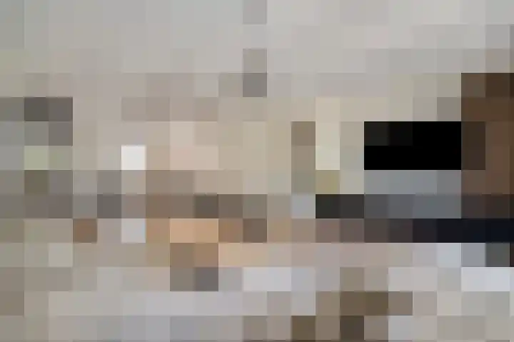 Duizendbladhof 9 Zoeterwoude thumbnail 23