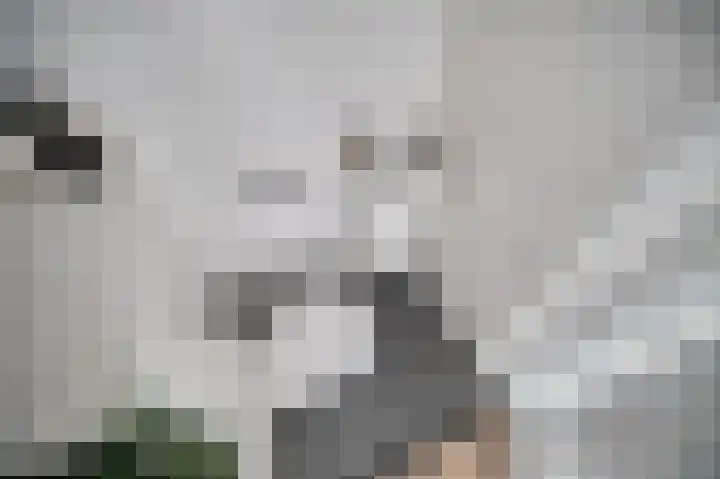 Duizendbladhof 9 Zoeterwoude thumbnail 28