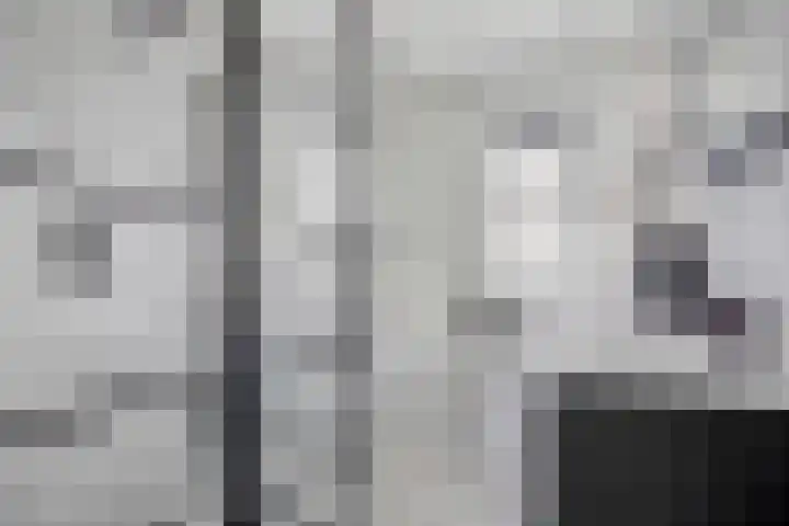 Duizendbladhof 9 Zoeterwoude thumbnail 31