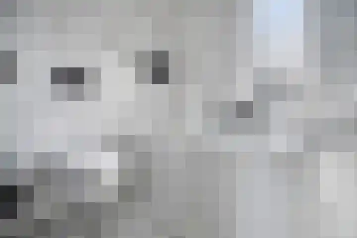 Duizendbladhof 9 Zoeterwoude thumbnail 33