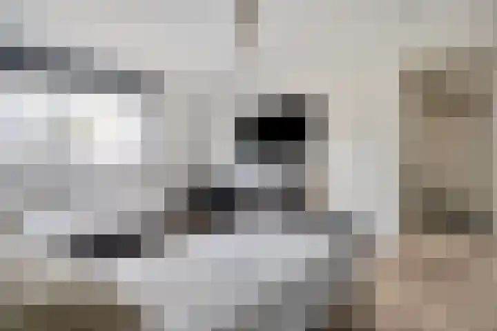 Duizendbladhof 9 Zoeterwoude thumbnail 39