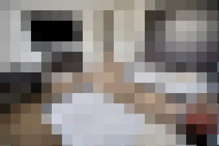 Duizendbladhof 9 Zoeterwoude thumbnail 40