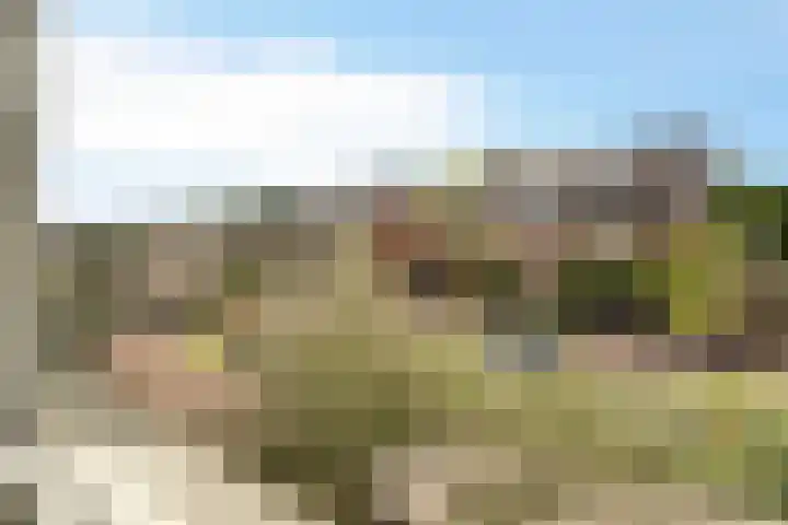 Duizendbladhof 9 Zoeterwoude thumbnail 42
