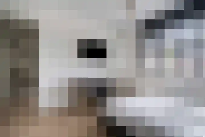 Duizendbladhof 9 Zoeterwoude thumbnail 43