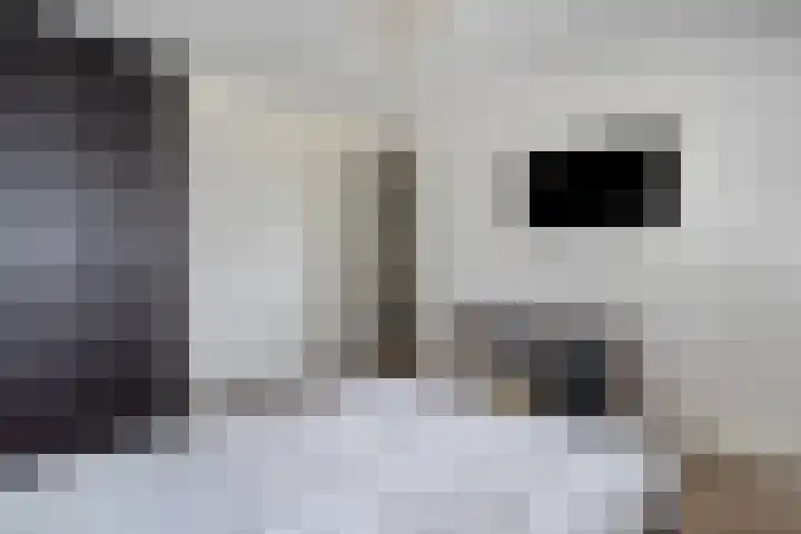 Duizendbladhof 9 Zoeterwoude thumbnail 44