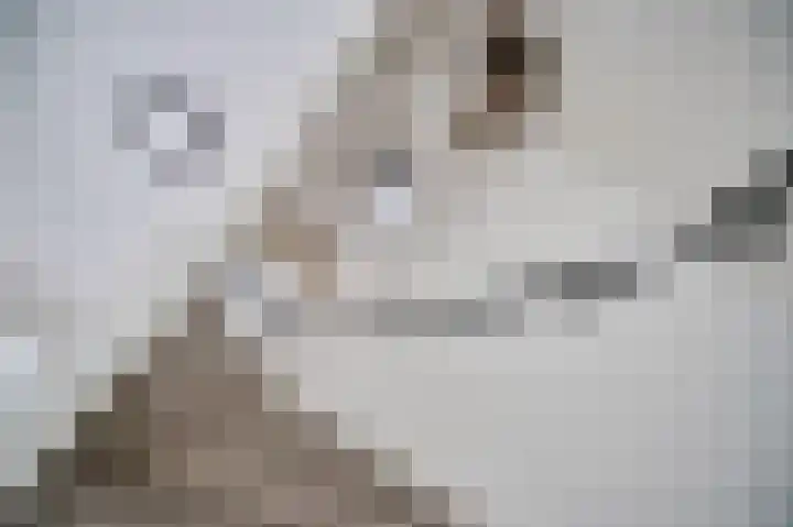 Duizendbladhof 9 Zoeterwoude thumbnail 46