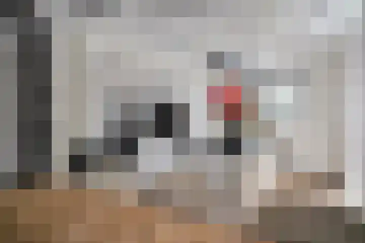 Duizendbladhof 9 Zoeterwoude thumbnail 5