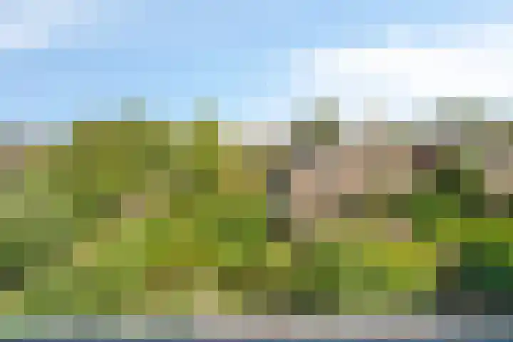 Duizendbladhof 9 Zoeterwoude thumbnail 54