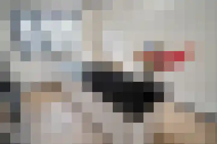 Duizendbladhof 9 Zoeterwoude thumbnail 6