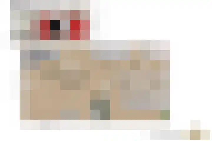 Duizendbladhof 9 Zoeterwoude thumbnail 64