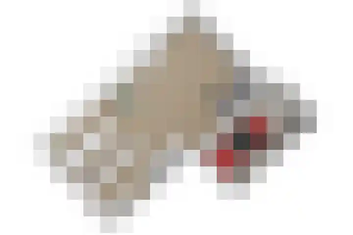Duizendbladhof 9 Zoeterwoude thumbnail 65