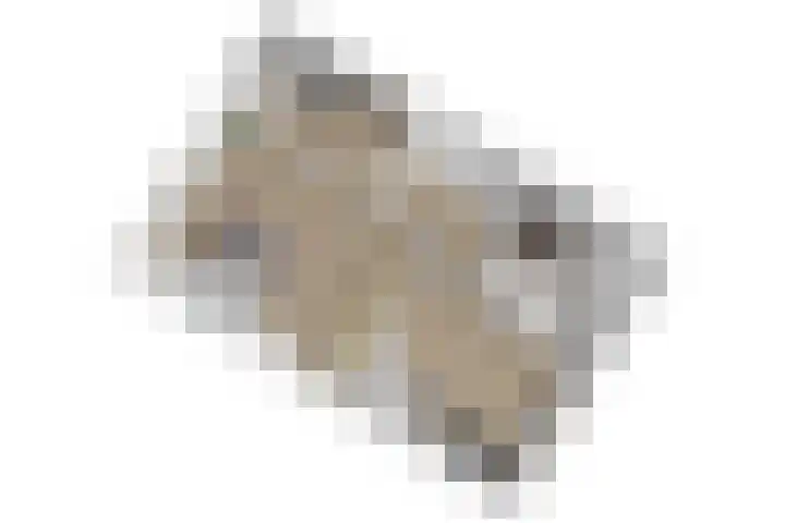Duizendbladhof 9 Zoeterwoude thumbnail 67
