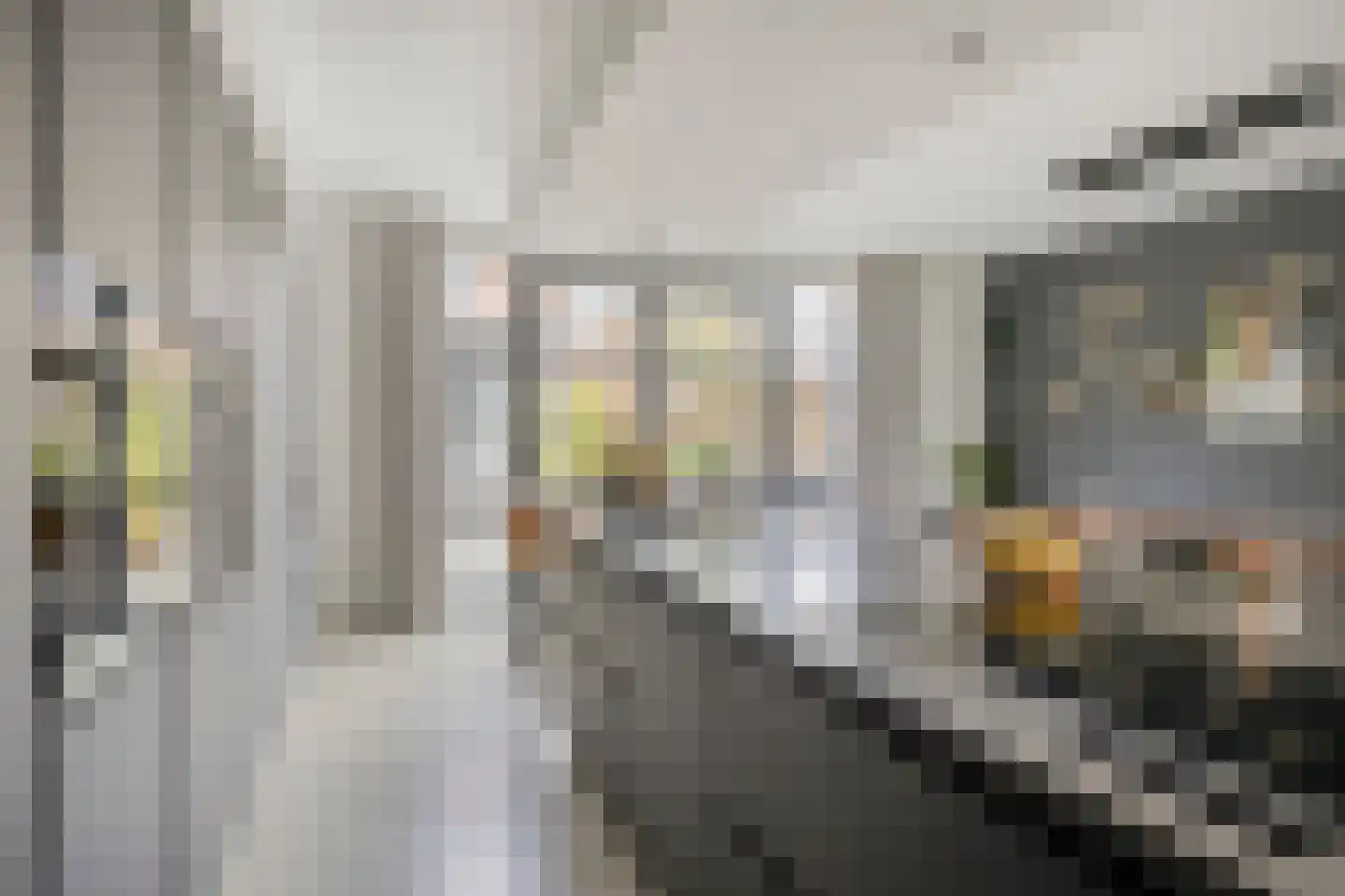 Duizendbladstraat 20 's-Hertogenbosch thumbnail 13