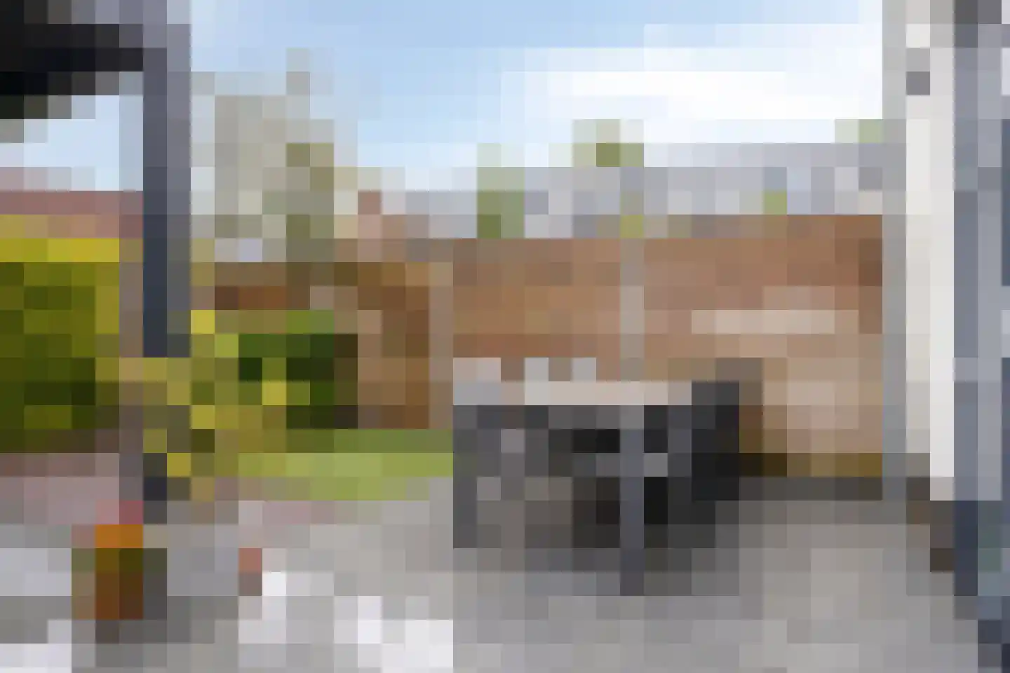 Duizendbladstraat 20 's-Hertogenbosch thumbnail 17
