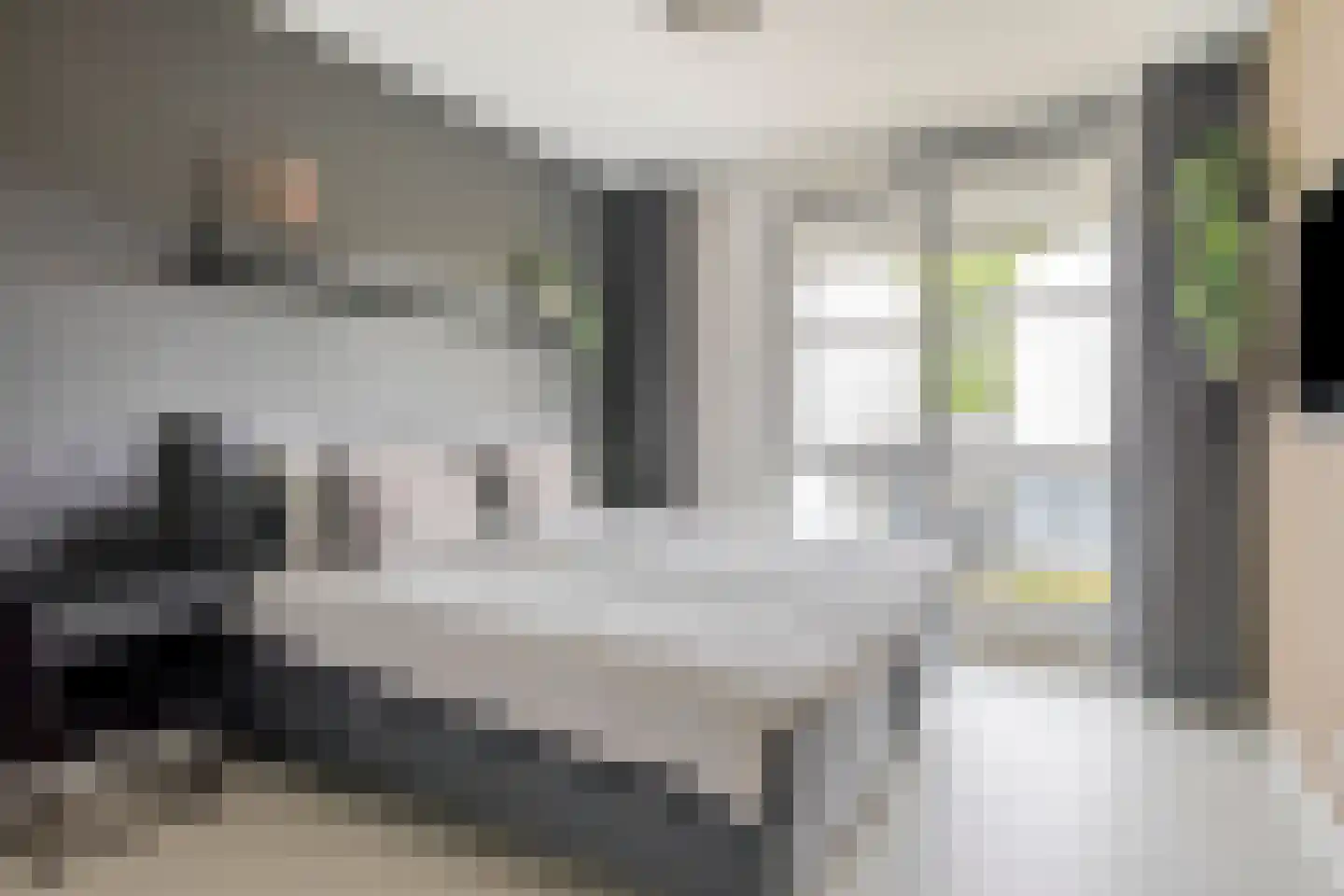 Duizendbladstraat 20 's-Hertogenbosch thumbnail 24