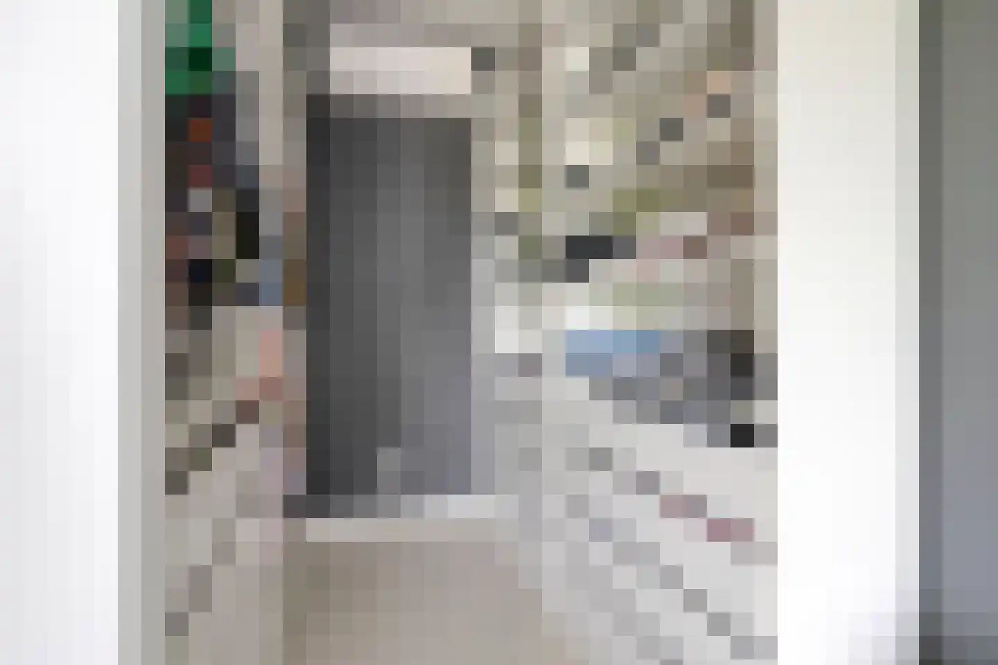 Duizendbladstraat 20 's-Hertogenbosch thumbnail 26