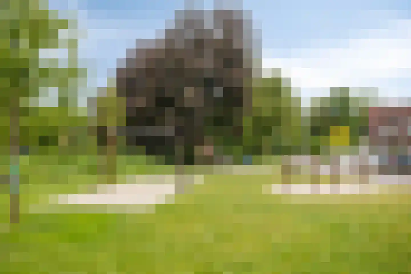 Duizendbladstraat 20 's-Hertogenbosch thumbnail 38