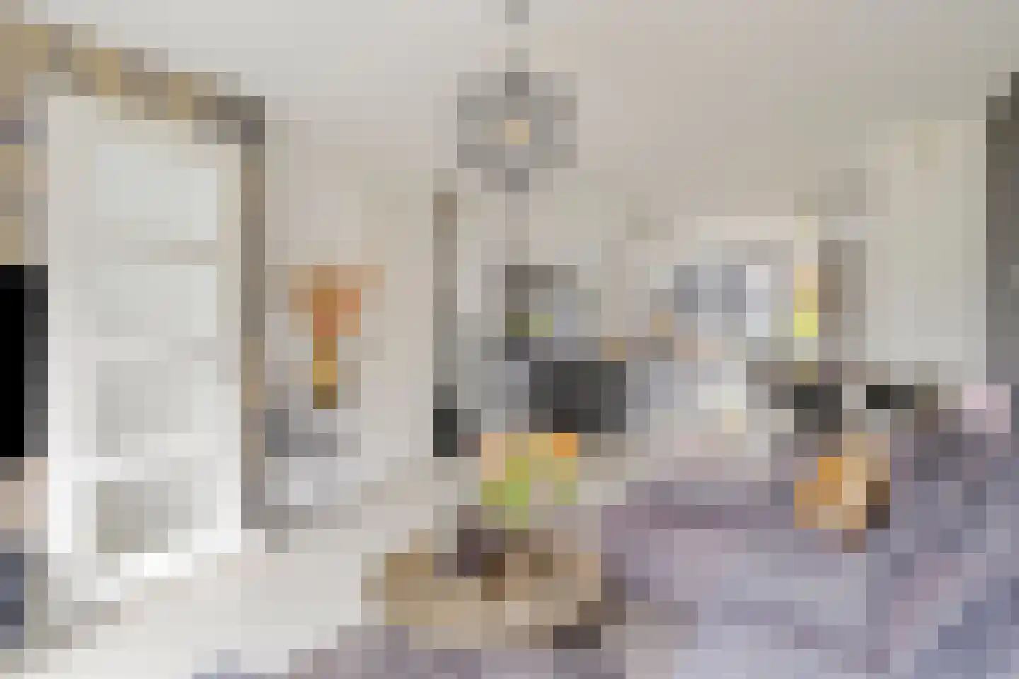 Duizendbladstraat 20 's-Hertogenbosch thumbnail 8
