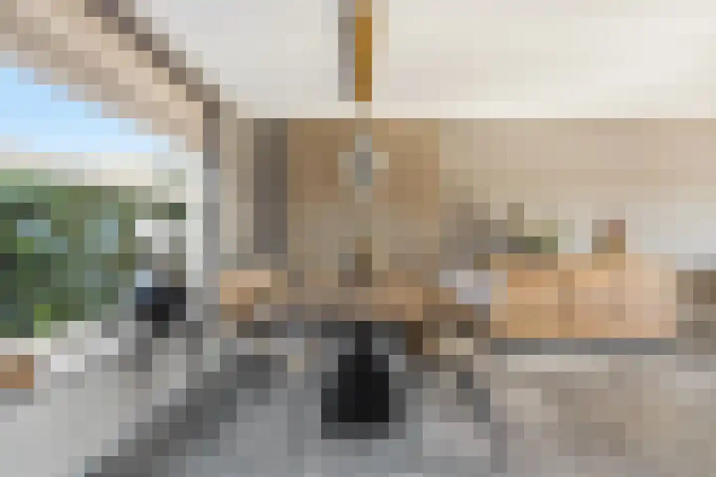 Duizendbladstraat 22 Bleskensgraaf ca thumbnail 11
