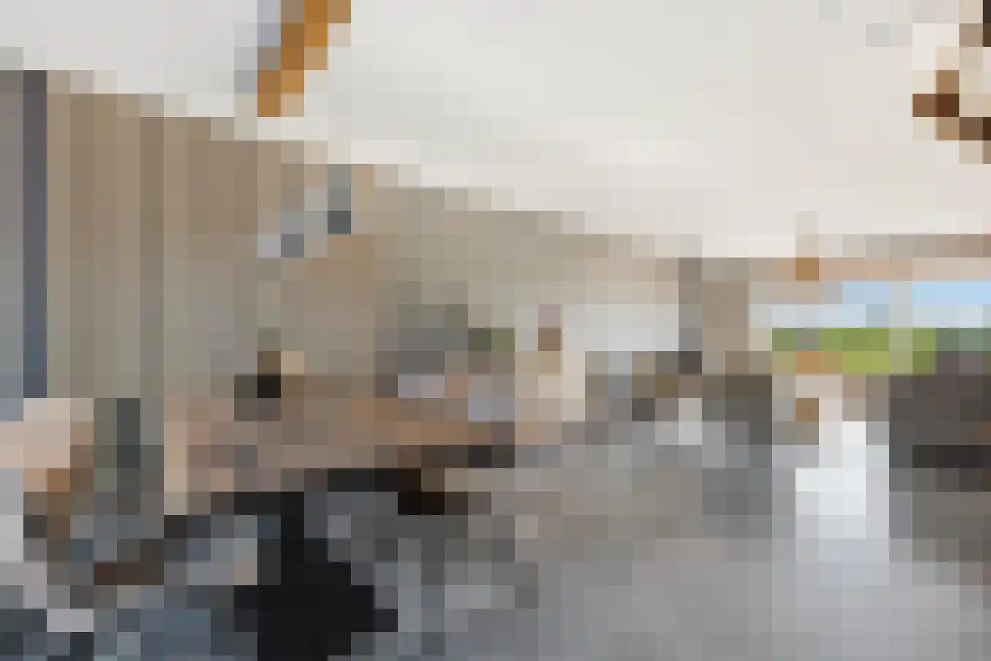 Duizendbladstraat 22 Bleskensgraaf ca thumbnail 13