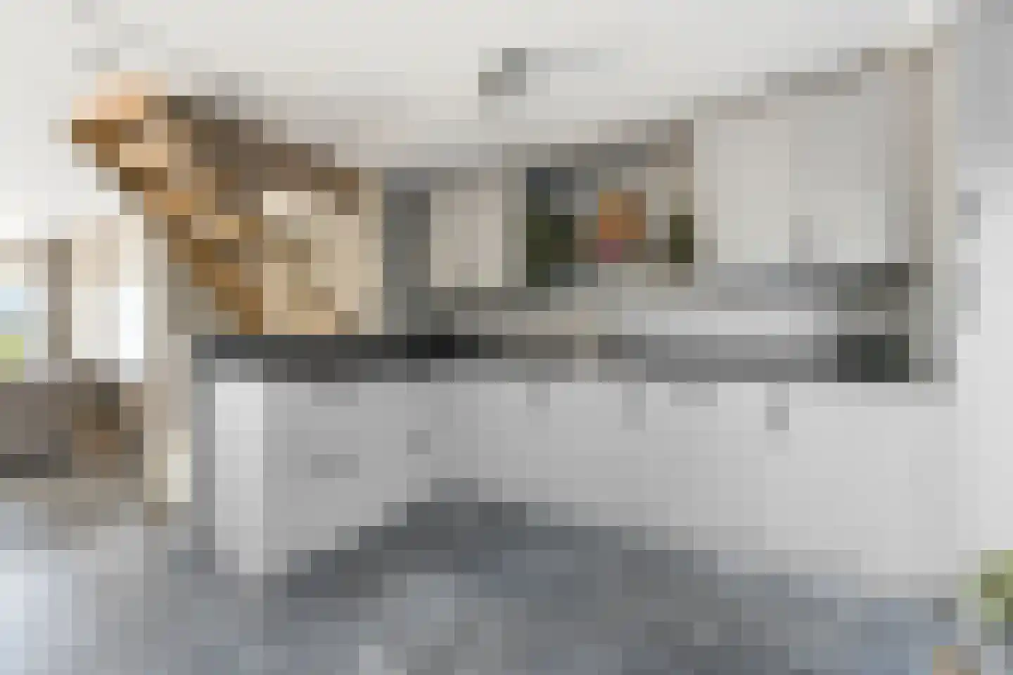 Duizendbladstraat 22 Bleskensgraaf ca thumbnail 14