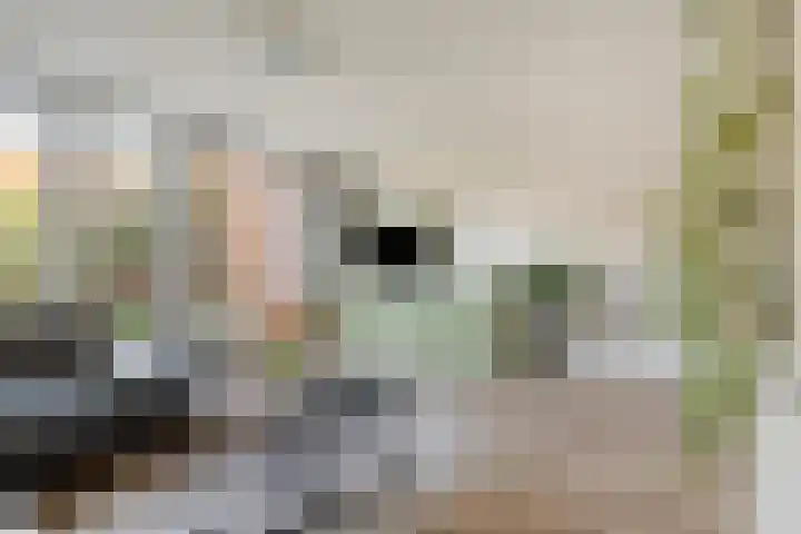 Duizendbladstraat 23 Goes thumbnail 10