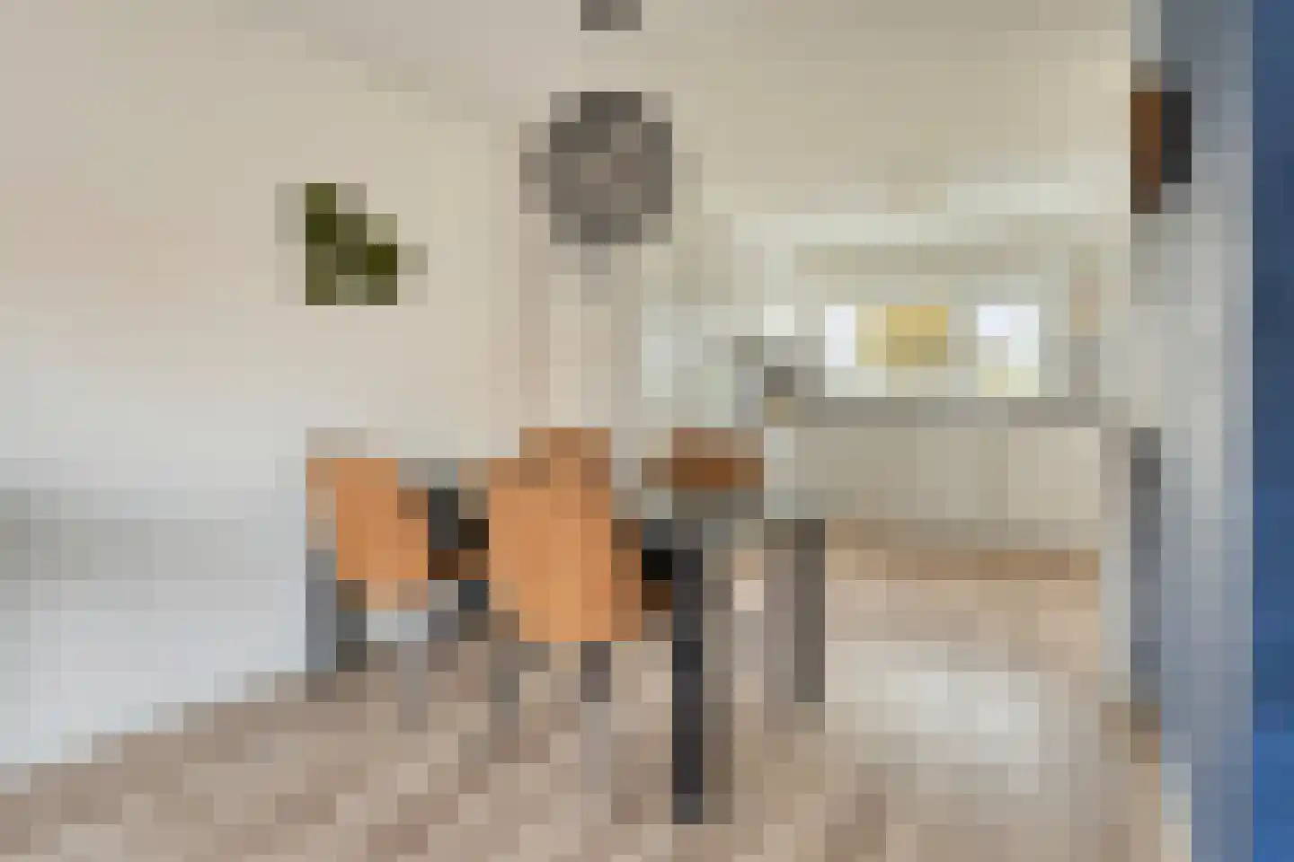 Duizendbladstraat 23 Goes thumbnail 11