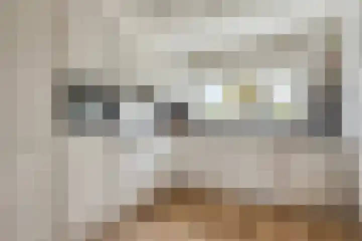 Duizendbladstraat 23 Goes thumbnail 13