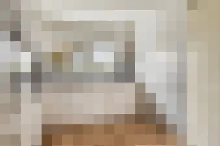Duizendbladstraat 23 Goes thumbnail 14