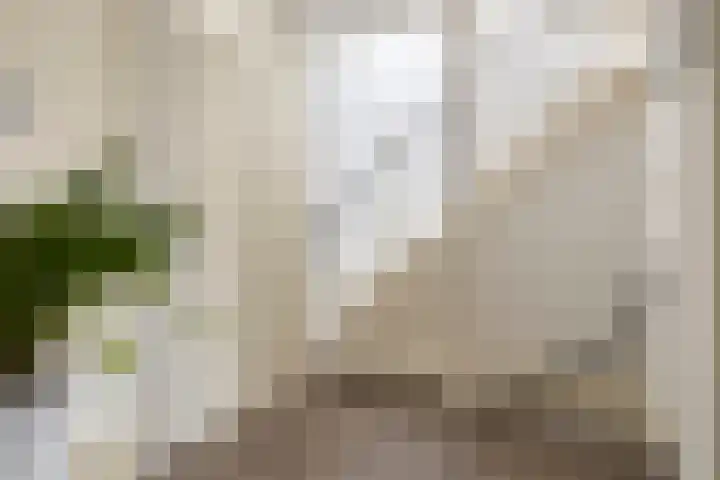 Duizendbladstraat 23 Goes thumbnail 17