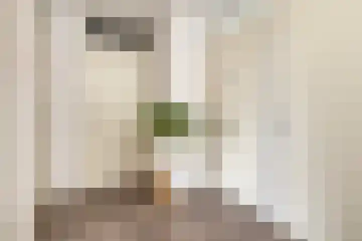 Duizendbladstraat 23 Goes thumbnail 18