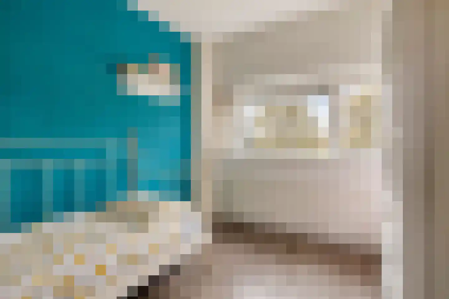 Duizendbladstraat 23 Goes thumbnail 25