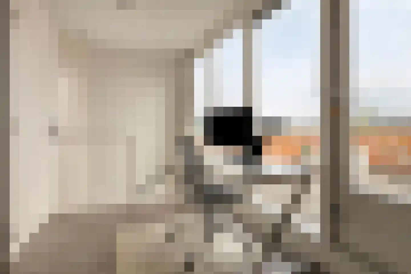 Duizendbladstraat 23 Goes thumbnail 26