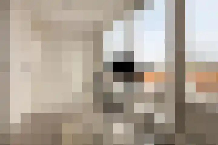 Duizendbladstraat 23 Goes thumbnail 26