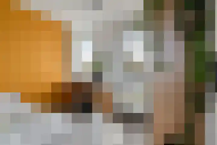 Duizendbladstraat 23 Goes thumbnail 28