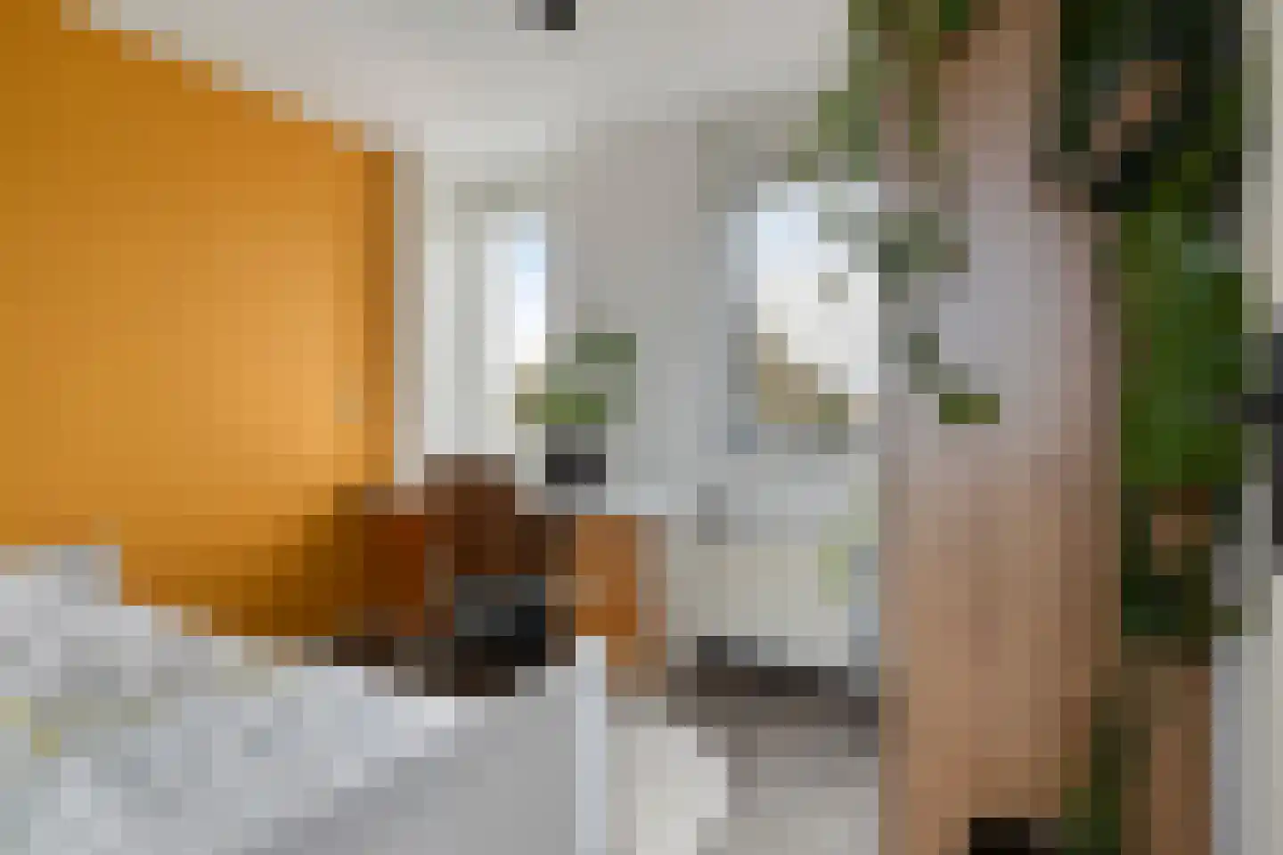 Duizendbladstraat 23 Goes thumbnail 28