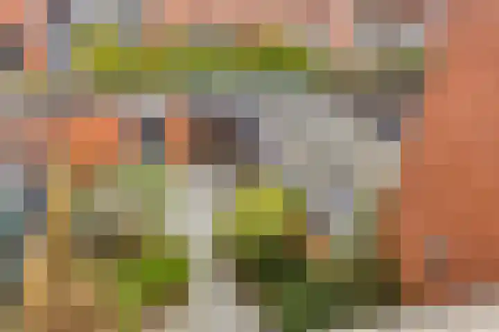 Duizendbladstraat 23 Goes thumbnail 32