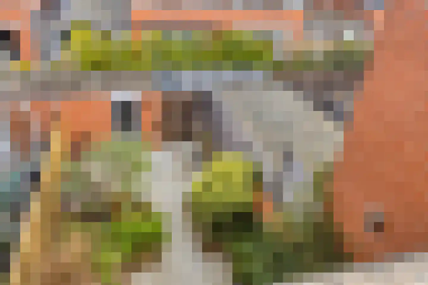 Duizendbladstraat 23 Goes thumbnail 32